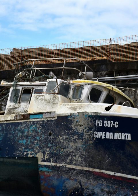 ries-bosch-No6M9xYa1AE-unsplash